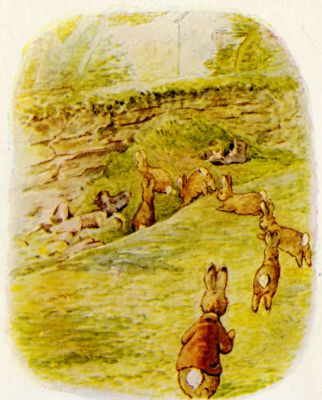 The Flopsy Bunnies going to the rubbish heap