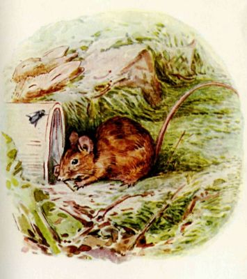 Thomasina Tittlemouse, the woodmouse