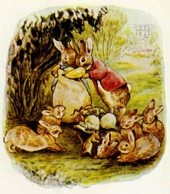 Thomasina nibbling a hole in the sack