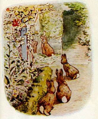 The rabbits at the window