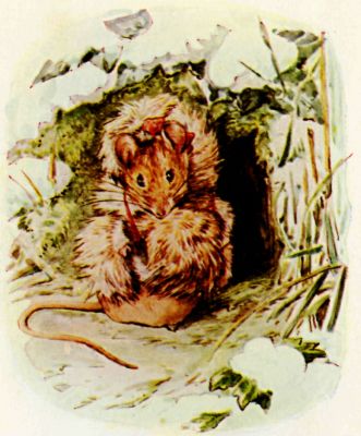Thomasina Tittlemouse in her new rabbit-wool cloak