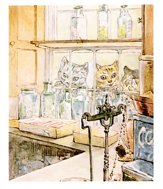 Cats looking in the shop window