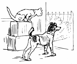 Ginger and Pickles staring at the envelope
