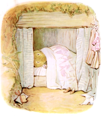 Mrs. Tittlemouse in her little box bed