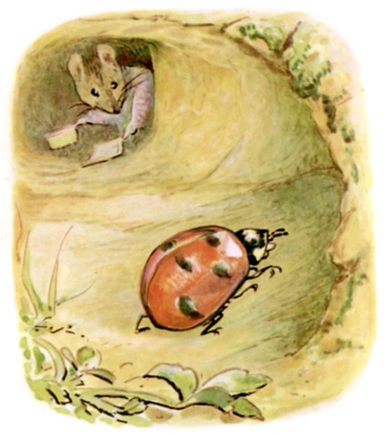 Mrs. Tittlemouse and Mother Ladybird