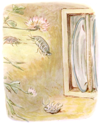 Creepy-crawly people in the pantry