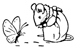 Mrs. Tittlemouse and a Butterfly