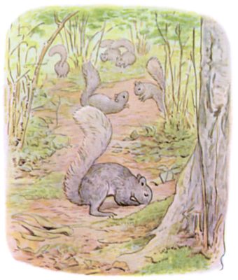 Silvertail, the most forgetful squirrel