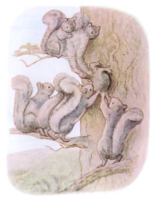 Timmy being pushed into the small woodpecker hole