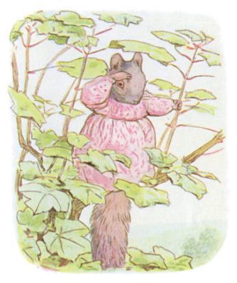 Goody Tiptoes looking for Timmy in the wood