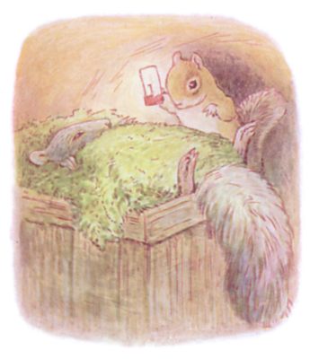 Timmy tucked in a moss bed with the Chipmunk