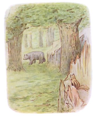 A large bear walking through the wood