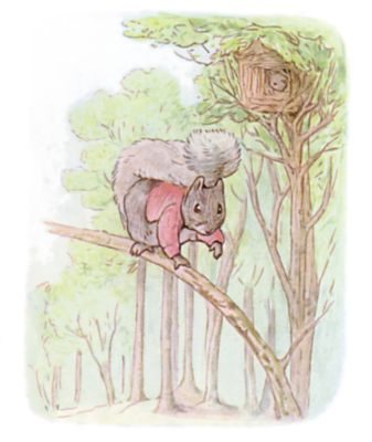Timmy Tiptoes, a little fat comfortable grey squirrel