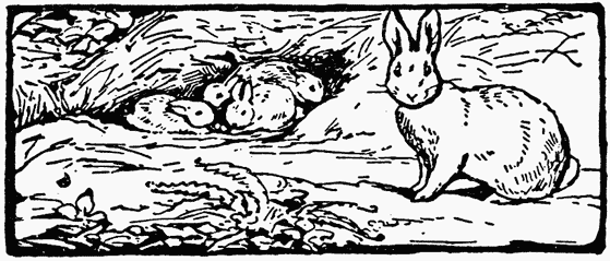 The little rabbit-babies in their bed | 80%