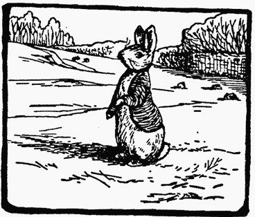 Peter Rabbit sitting up with pricked ears