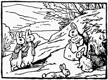 Meeting Cottontail on the hill pastures