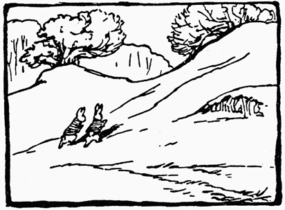 Peter Rabbit leading the way up the hill