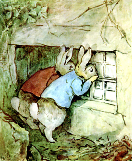The rabbits peeping into the dark bedroom