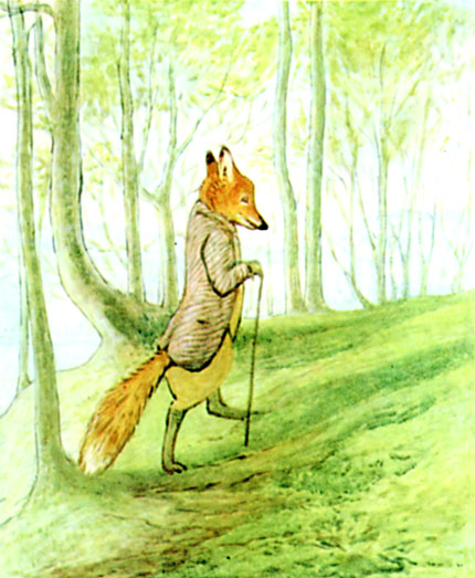Mr. Tod fuming at the badger's marks