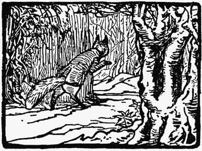 Mr. Tod stumbling over the rabbit tunnel