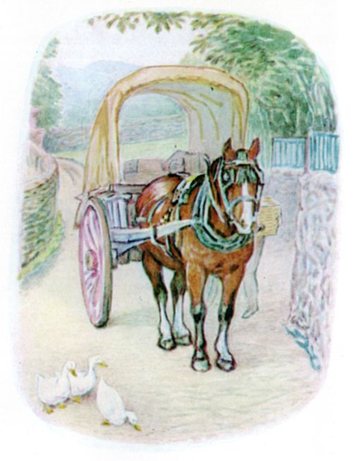 Timmy Willie waking as the hamper is lifted into the cart