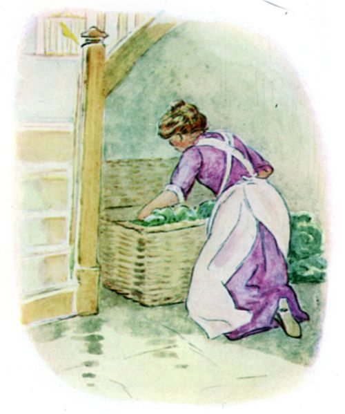 The cook unpacking the hamper and finding Timmy Willie