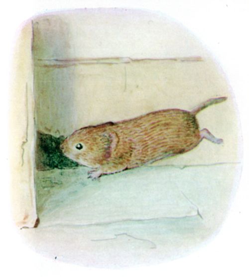 Timmy Willie rushing into a hole in the skirting board