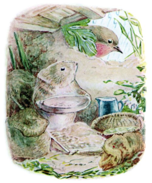 Timmy Willie longing for his peaceful country nest