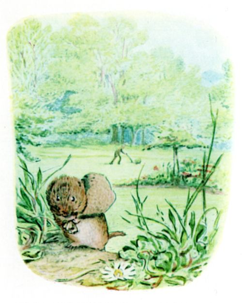The noise of the country lawn-mower