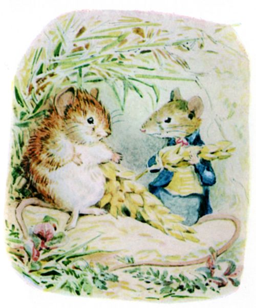 Johnny Town-mouse deciding whether to stay