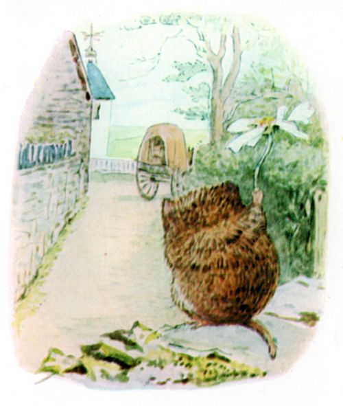 Johnny Town-mouse returning to town in the hamper