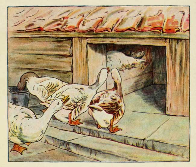 Goosey, goosey, gander in a bonnet|70%