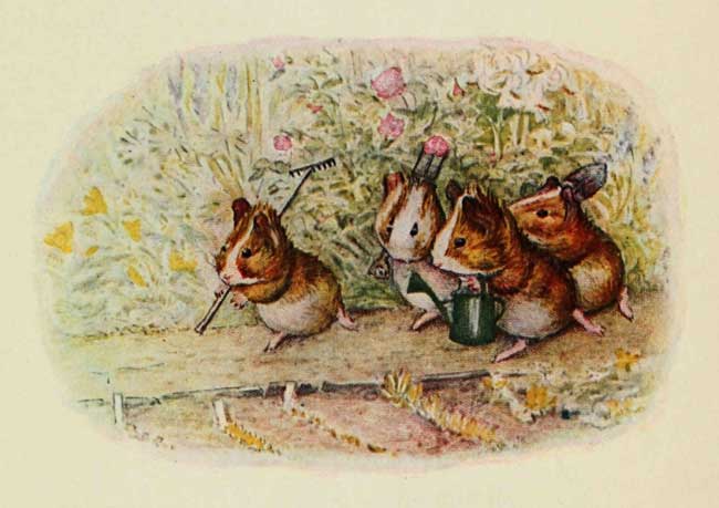 Four mice watering their garden|70%