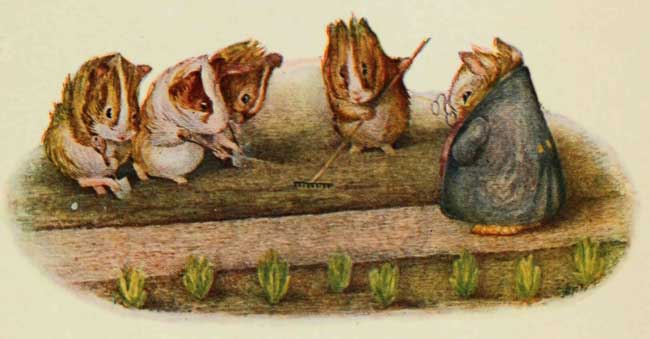 Cecily Parsley's Nursery Rhymes