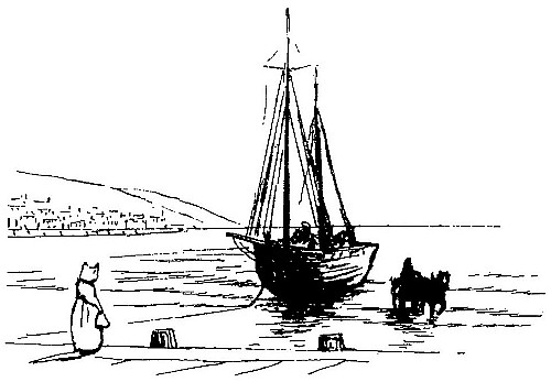 Susan the white cat meeting the ships as they come in
