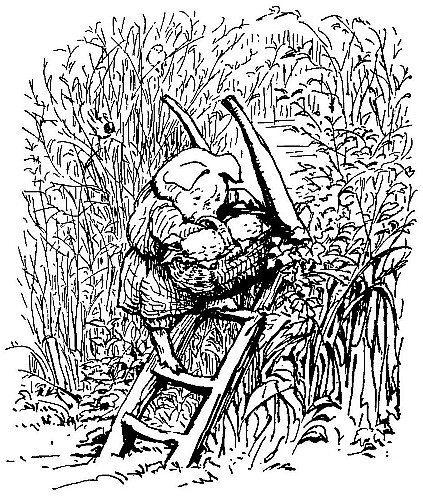 Pig Robinson carrying his basket down a ladder