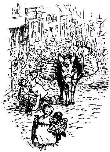 Donkey carrying panniers of broccoli