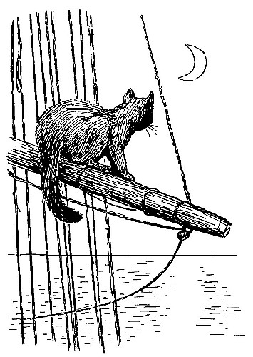 Cat in the rigging