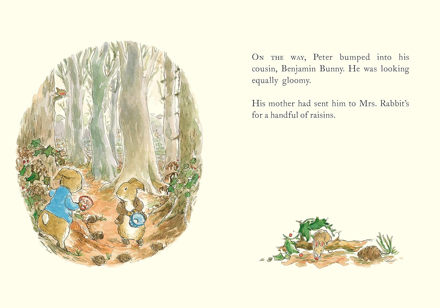 A Gloomy Encounter<br>Peter bumps into Benjamin Bunny<br>Illustrated by Eleanor Taylor|90%