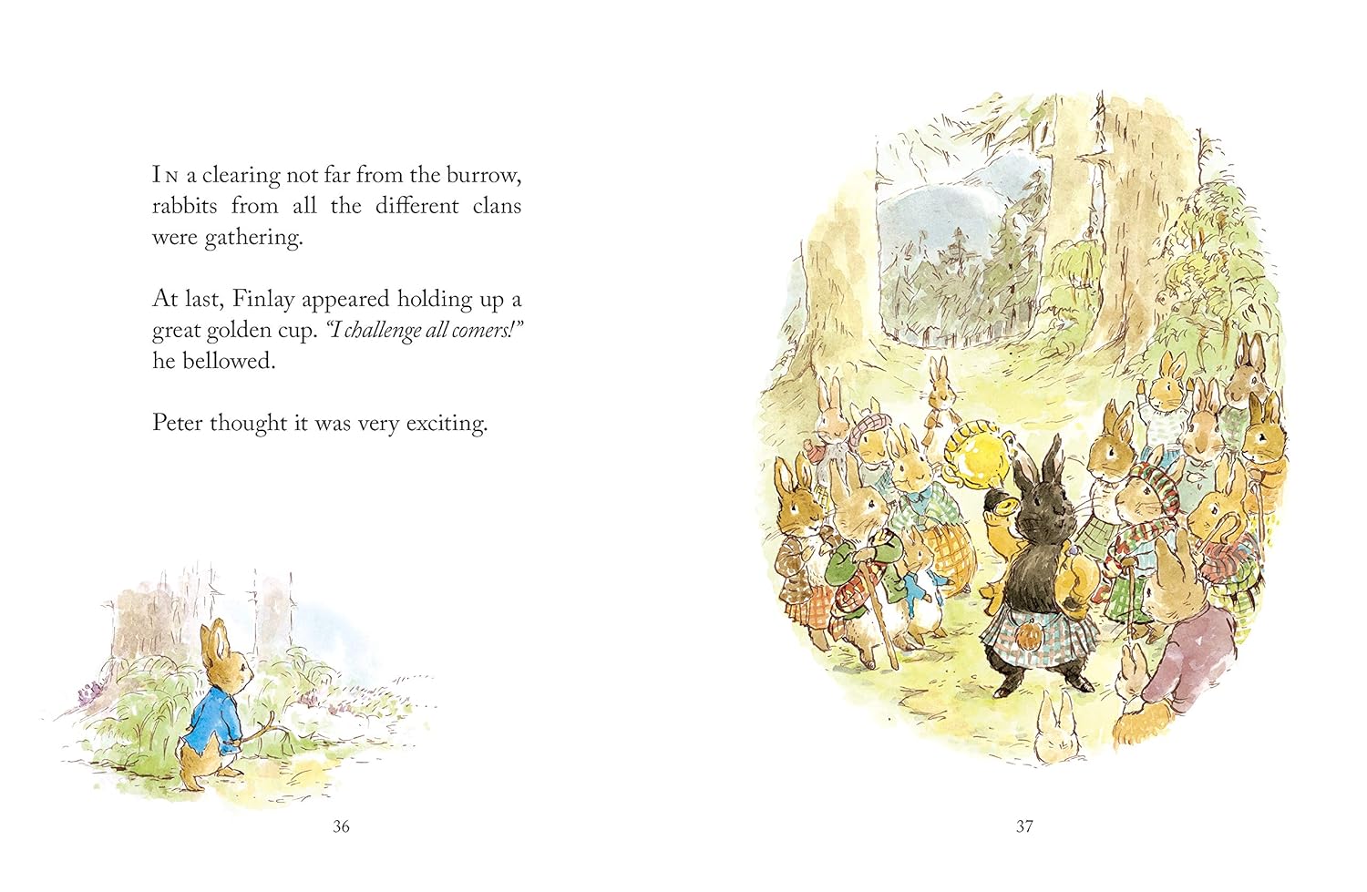 The Heather<br>A rogue beyond the gate<br>Illustrated by Eleanor Taylor | 90%