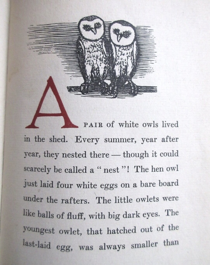 A Pair of White Owls<br>The unexpected arrival of fortune |60%