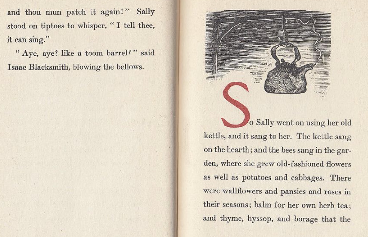 Sally Went On — The quiet resilience of the country poor